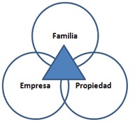 Relación familia, empresa y propiedad